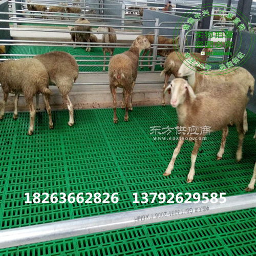 养殖羊用的网床 羊踏网床 羊圈塑料底网图片